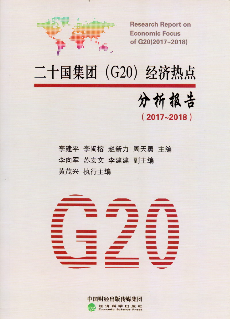 鸡巴用力干的好爽视频看看啊二十国集团（G20）经济热点分析报告（2017-2018）